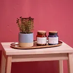 Lägenhet Nest- Cozy & Accessible *