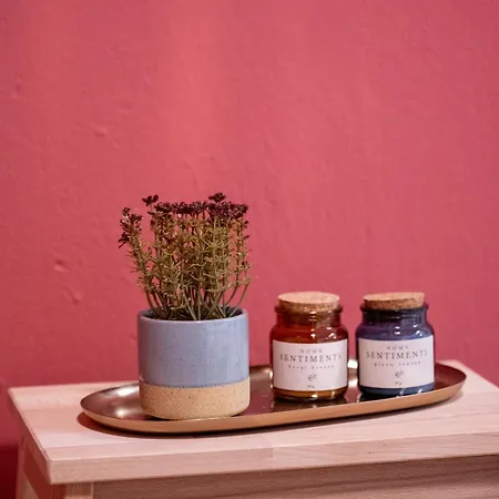 Appartement Nest- Cozy & Accessible *