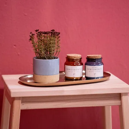 Appartement Nest- Cozy & Accessible *